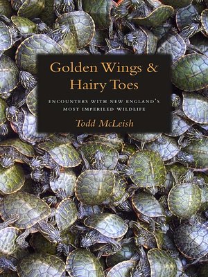 cover image of Golden Wings & Hairy Toes